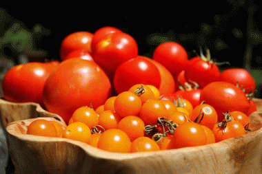 标准光源箱检测番茄颜色一致的方法